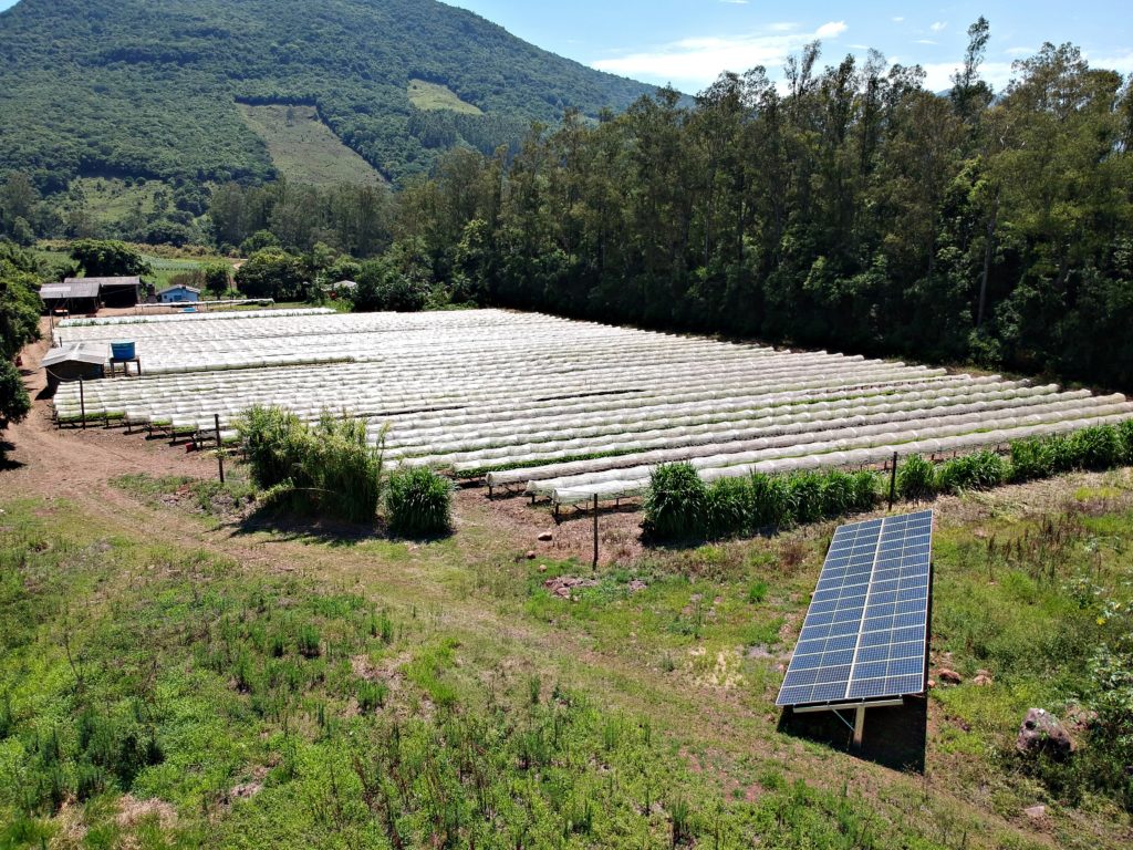 Mudança Aneel - Elysia energia solar Rio Grande do Sul