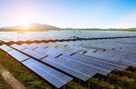 Sustentabilidade empresarial - Elysia energia solar comercial
