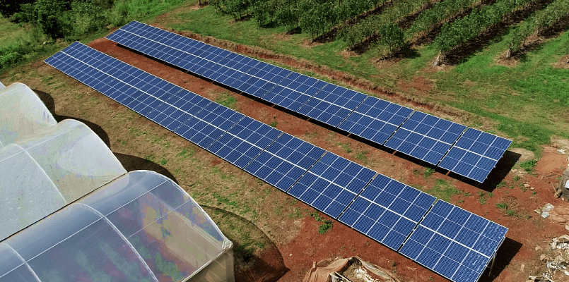 Energia solar em produção rural - Elysia sistema fotovoltaico São Sebastião do Caí